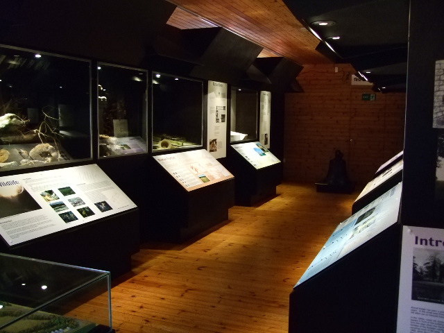 Audio System for Sound in Museums