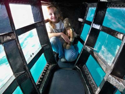 Case Study - Daves Dolphin and Whale Safari
