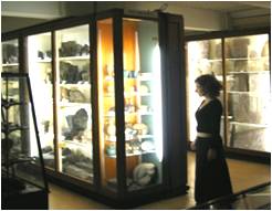 Museum Display Case and Cabinet Speakers